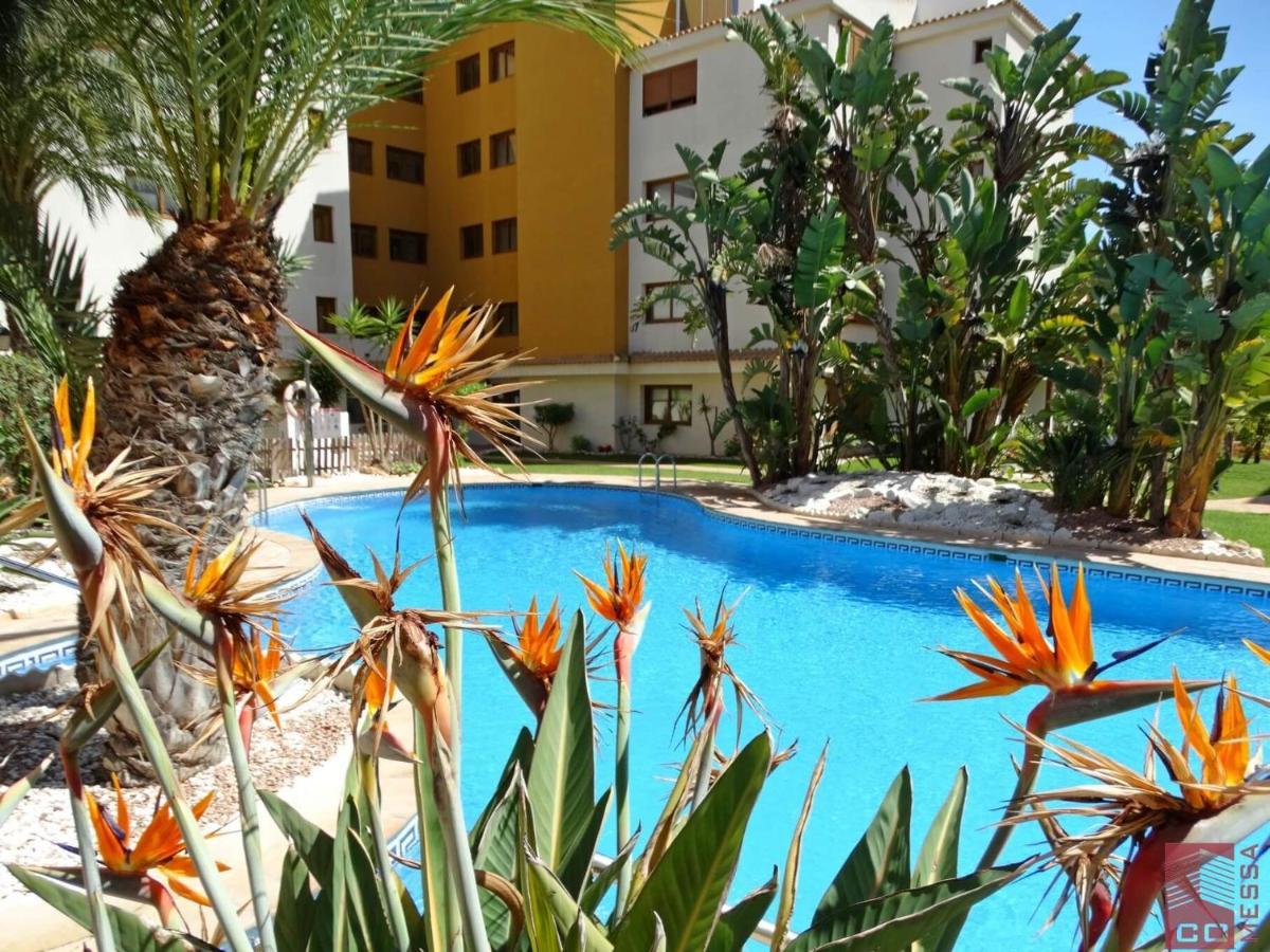 Apartamento Eleonor, La Entrada, Punta Prima, تورّيفيِخا المظهر الخارجي الصورة