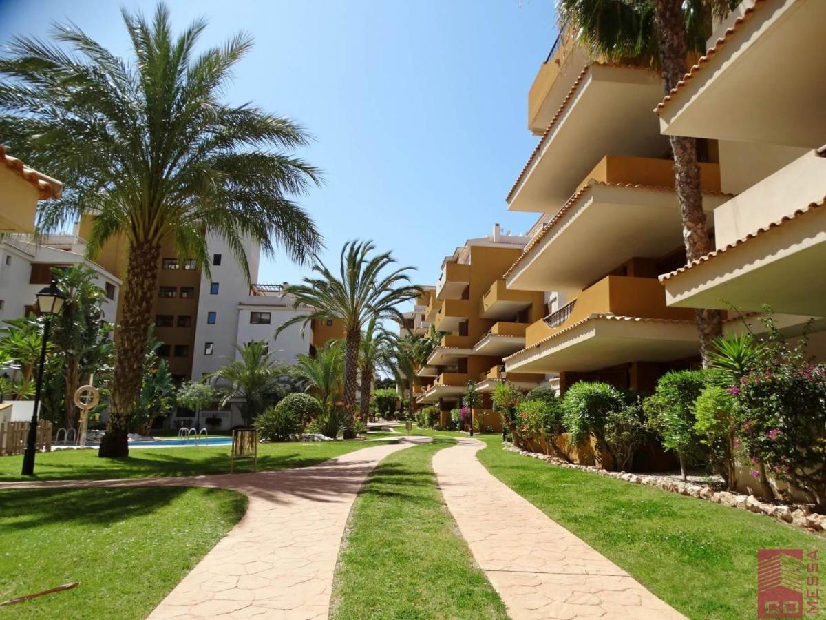Apartamento Eleonor, La Entrada, Punta Prima, تورّيفيِخا المظهر الخارجي الصورة